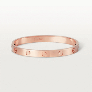 36794D90-982F-C96B-514C-3520171C4FD4-1.png LOVE BRACELET