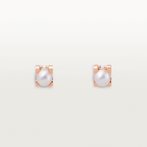 4CB9552F-0148-5E0F-BDC9-72BC7F59CA20.png C DE EARRINGS
