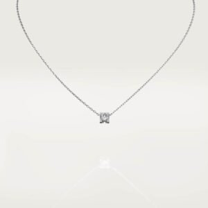 59BC5E1E-CAE5-1EF2-9C36-6D79E186143C.jpg C DE NECKLACE