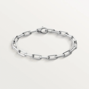 85B0E845-6A1C-A587-816E-EC82D1D5E4E2.png SANTOS DE BRACELET