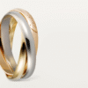 86FBFAA2-4DFD-407A-3964-A76798F02A2C-1.png TRINITY RING, SMALL MODEL