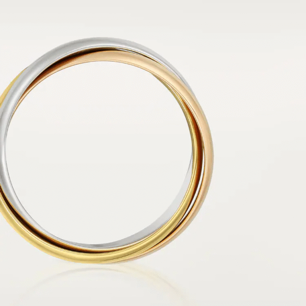 C93B5E2E-E681-6533-B91C-6819498BE552-1.png TRINITY RING, SMALL MODEL