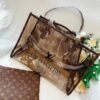 微信图片_2025-11-05_173652_865.jpg Louis Vuitton Purse Transparent Bag(two piece set)
